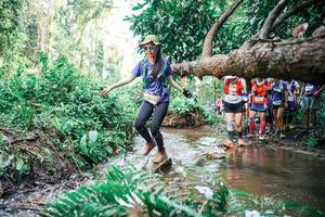 BIB: 
                            <button type="button" onclick="openModal(25514244)" class="btn btn-primary btn-sm float-right btn-popup" data-toggle="modal" data-target=".modal-high-quality">
                        <i class="fas fa-shopping-cart"></i> Add to Cart
                    </button>
                                            <button type="button" onclick="isThisMe(25514244, true)" class="btn btn-success btn-sm float-right btn-popup btn-isme hidden" data-toggle="tooltip" data-placement="bottom" title="นี่คือรูปของคุณใช่ไหม คลิกที่นี่เพื่อเอาเข้าอัลบั้ม">
                        <i class="fas fa-plus"></i> Add to album
                    </button>
                    <button type="button" onclick="isThisMe(25514244, false)" class="btn btn-warning btn-sm float-right btn-popup btn-isnotme hidden">
                        <i class="fas fa-ban"></i> Remove from album
                    </button>